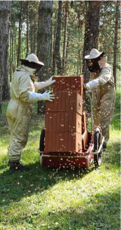 Včelárska sezóna sa pomaly končí..